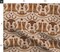 Western Cowboy Cowgirl Longhorn Southwest Earth Tone Cattle Horseshoe Desert Rustic Custom Printed Fabric by Spoonflower Various Fabrics by the Yard or Fat Quarter